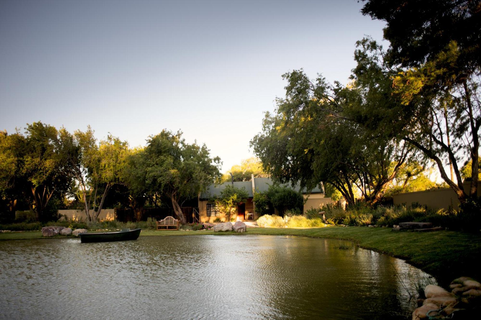 The Olive Thrush Cottage Prince Albert Exterior photo